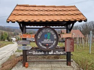 S cvičkom med vinogradi